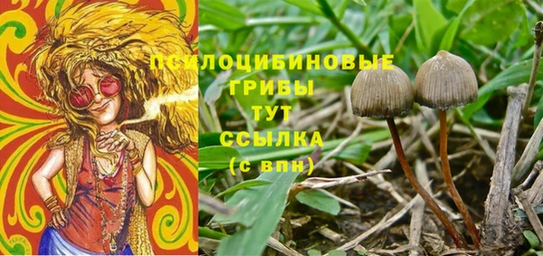 наркотики Абаза