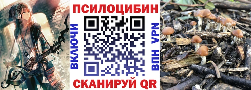 купить наркоту  Туапсе  Галлюциногенные грибы ЛСД 